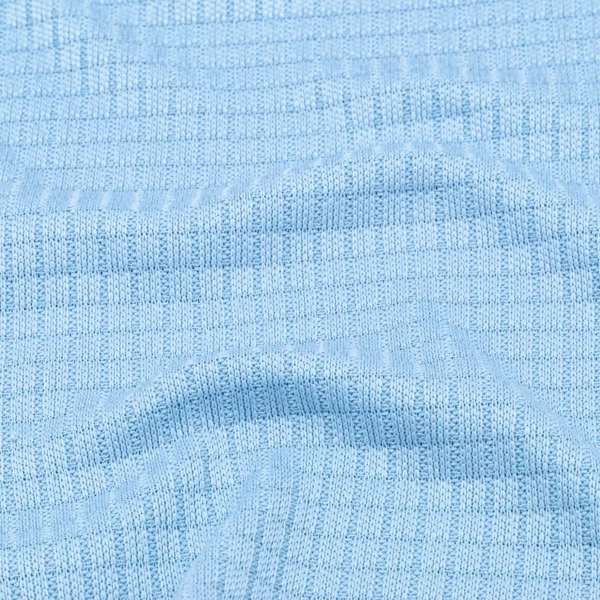 Polyester rib knit fabric in blue DV448